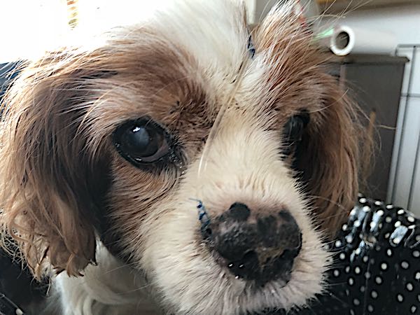 rblog-20180417092540-02.jpg