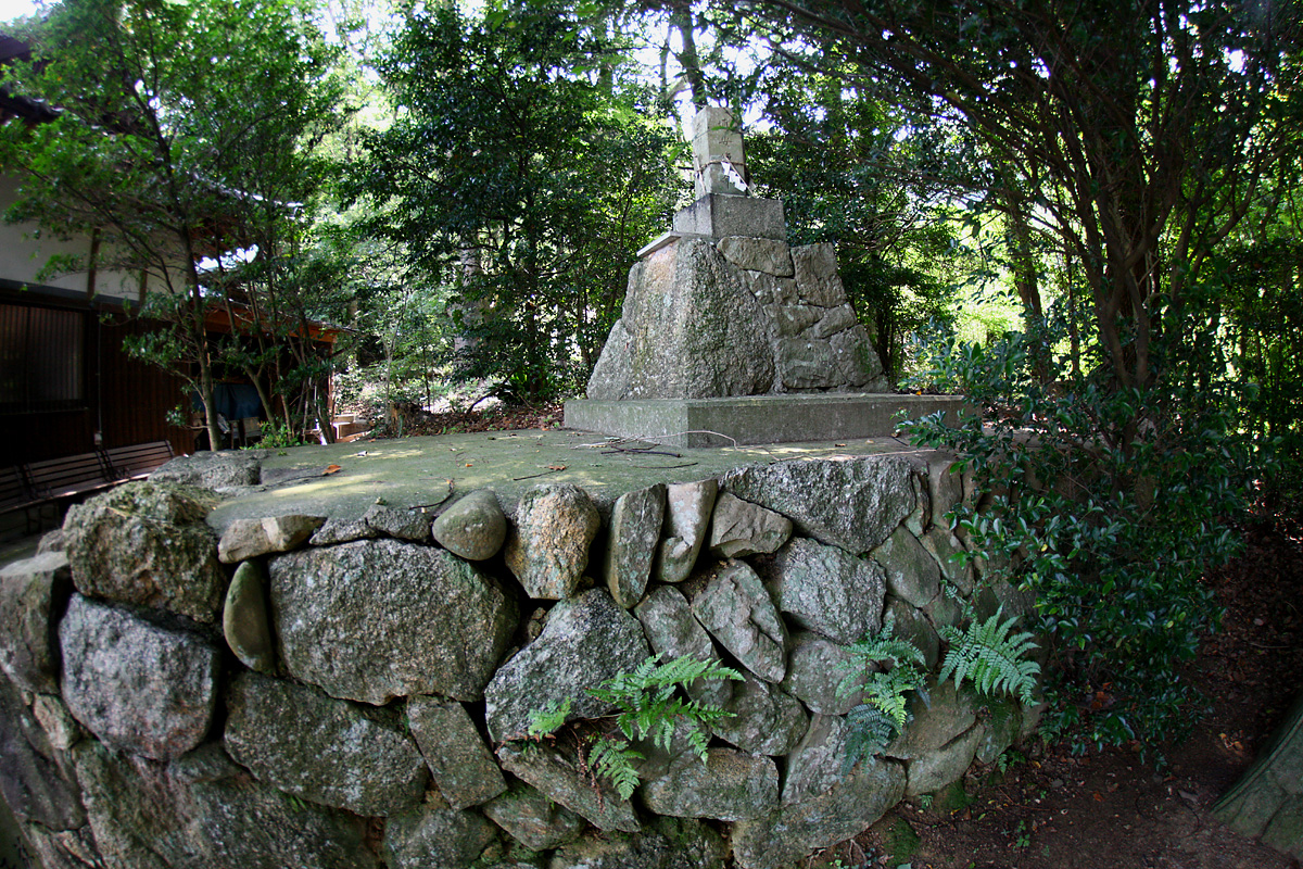 91.jpg