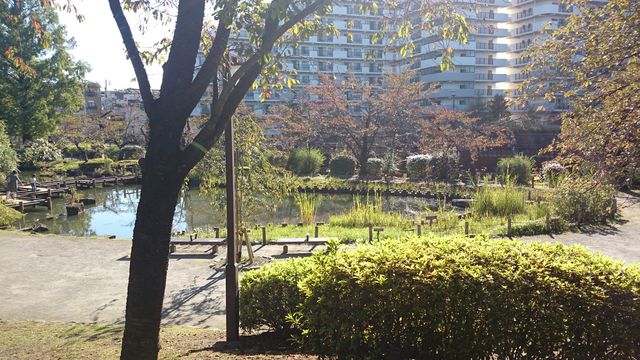 2015-11-03 13.34.24.jpg