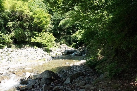 DSC08775.JPG