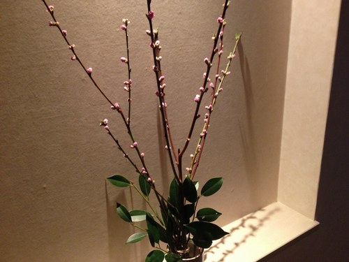 2玄関　桃の花１500.jpg