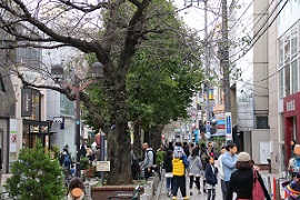 IMG_4982-30.jpg