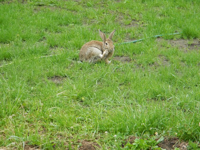 IMAGE010.jpg