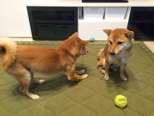 rblog-20151216002501-08.jpg