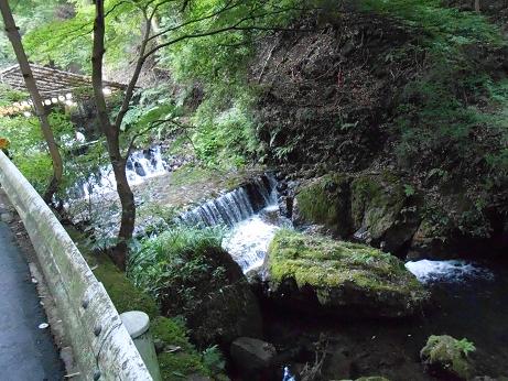 DSCN4657.jpg