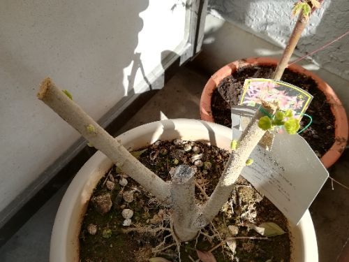 rblog-20180330095200-06.jpg