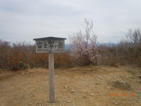DSCN5189-p.jpg