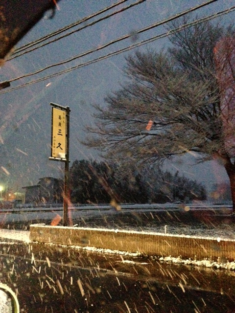 雪降る.JPG
