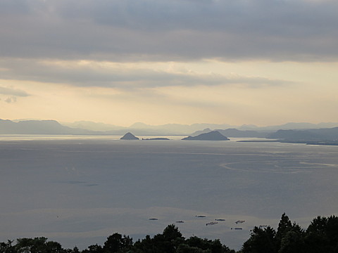 IMG_6520.jpg