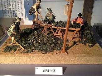 藍切2.JPG