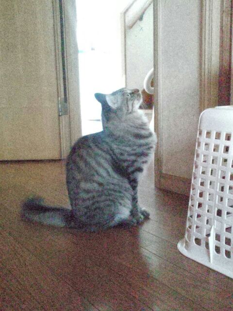 rblog-20140302233431-01.jpg
