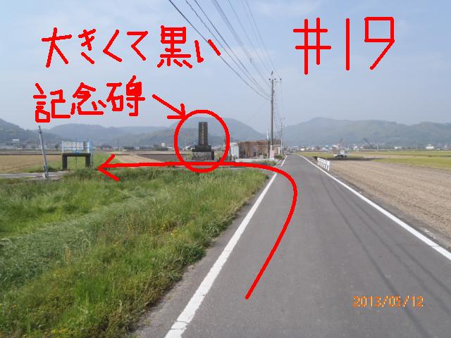 #19.JPG