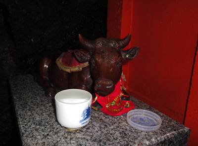 DSC01486-.jpg