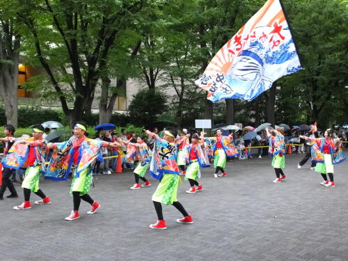 スーパーよさこい ＮＨＫ前ストリート.