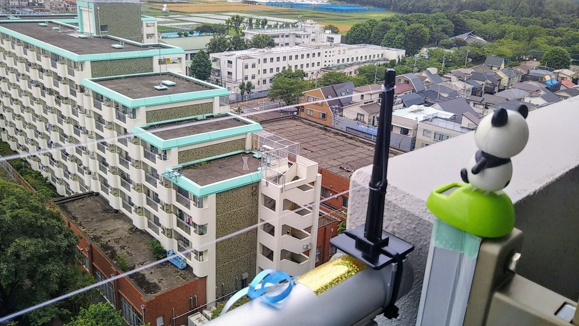 鳩よけにテグスを張りました 病気と生きる 楽天ブログ