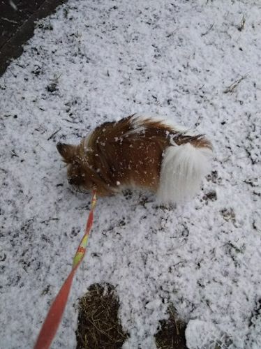 rblog-20180122180656-05.jpg