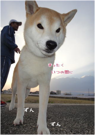 0101パンちゃんと8.jpg