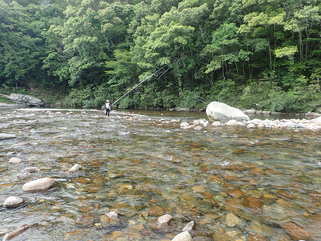 resize0025.jpg