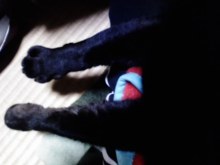 t02200165_0640048011950046342.jpg