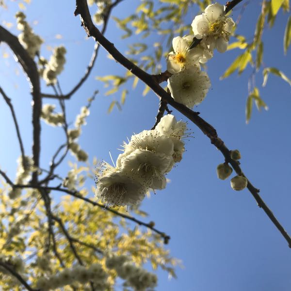 rblog-20180303155028-01.jpg
