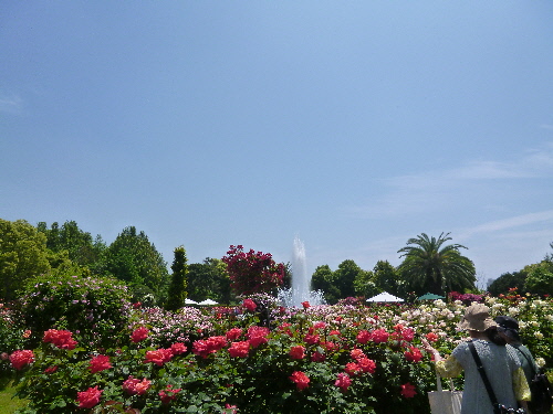 P1100694(1).JPG