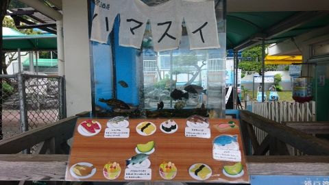 rblog-20180506223355-01.jpg