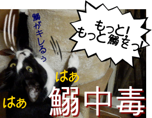 P6030022.png