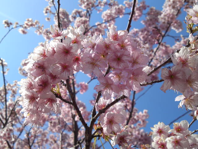 2012-03-30 17:51:56