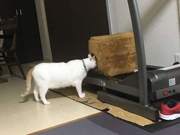 rblog-20181122063323-01.jpg
