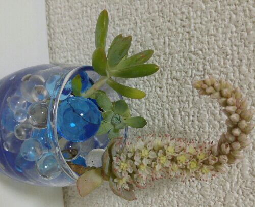 rblog-20151011200651-01.jpg