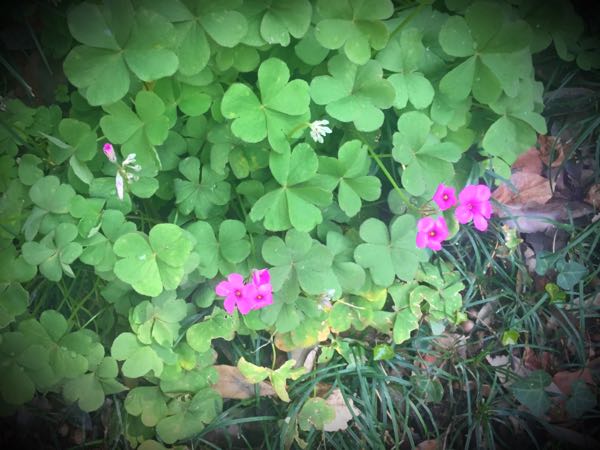 rblog-20160406132850-03.jpg
