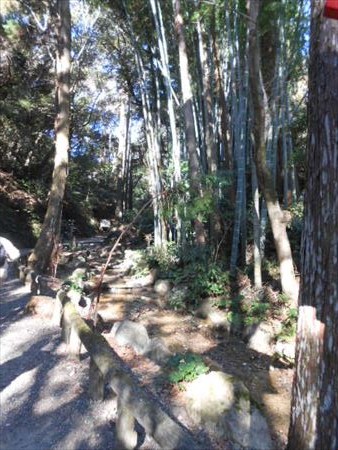 油山寺