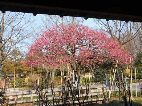 DSCN6788.jpg