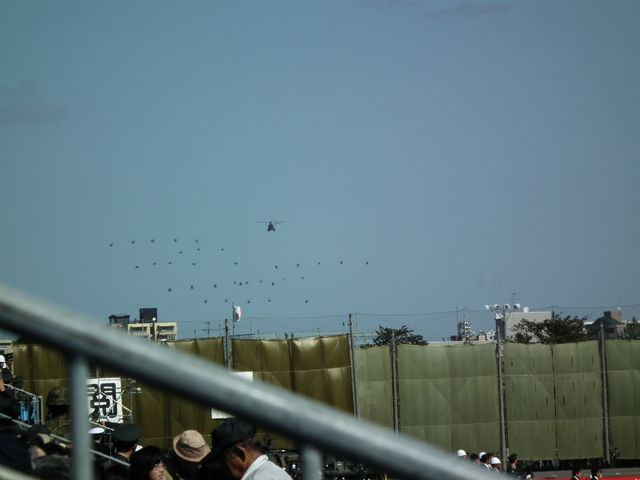 DSCF8406.JPG