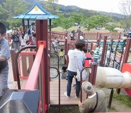 CIMG0584.JPG