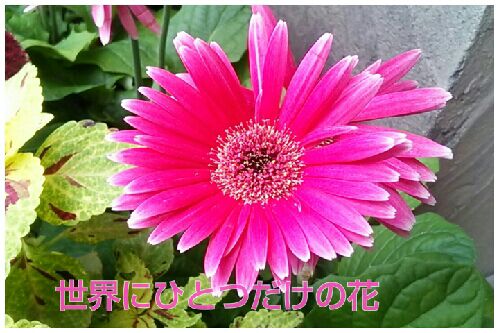 rblog-20160912191512-00.jpg