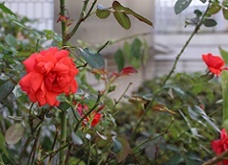 IMG_4697-21.jpg