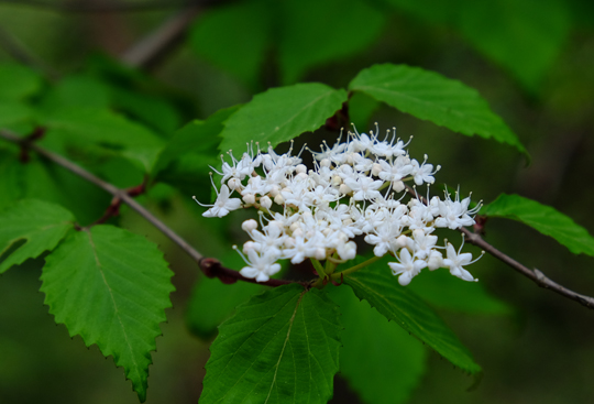 2016 04 16_3442.jpg
