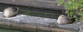 E7D_8452-2.jpg