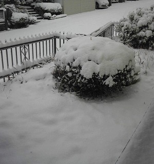 170115_074306.jpg