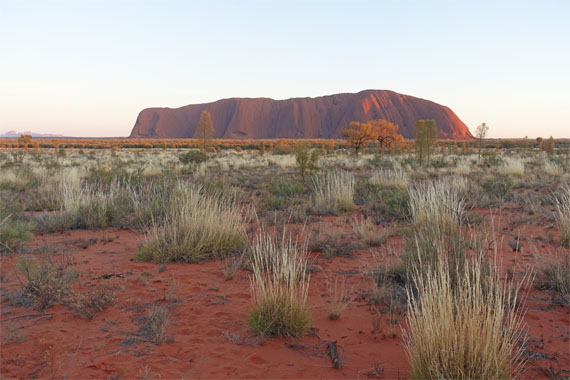 OZ875.jpg
