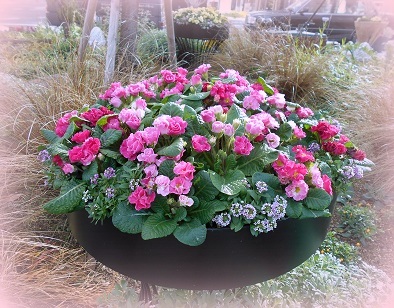 DSCN0920..jpg