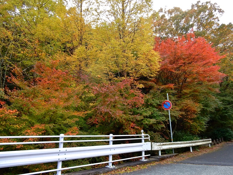 洞川湖畔の紅葉11.JPG