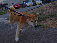 conv0427.JPG