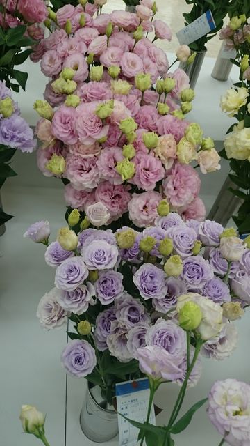 2016-02-14 11.07.51.jpg