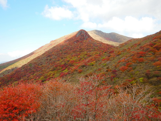 牧ノ戸方面から見た星生山.jpg