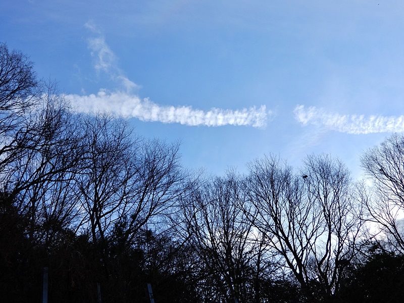 空4