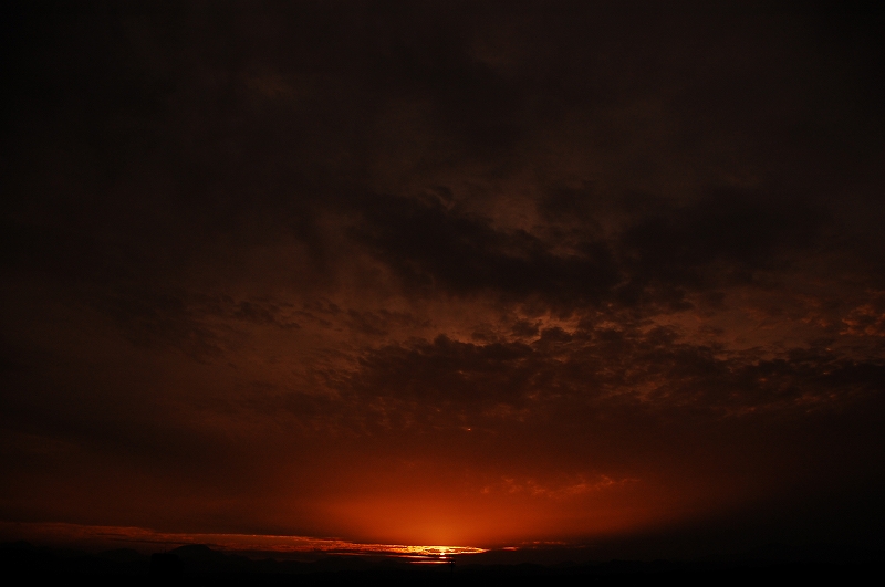 D40 010.jpg