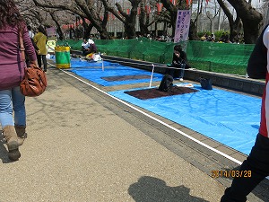 IMG_1964b.jpg