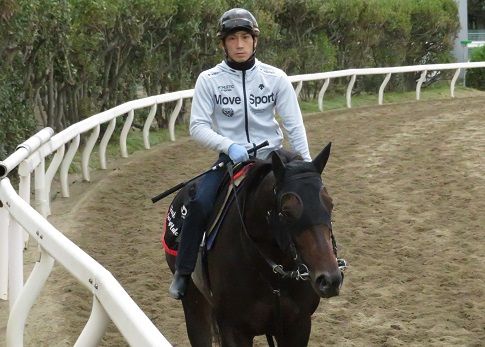 大井競馬場便り 地方競馬の楽天競馬 日替わりライターブログ 楽天ブログ